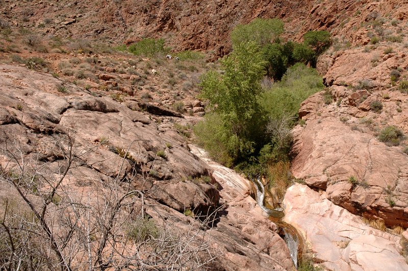 Grand Canyon April 2011_0402.jpg